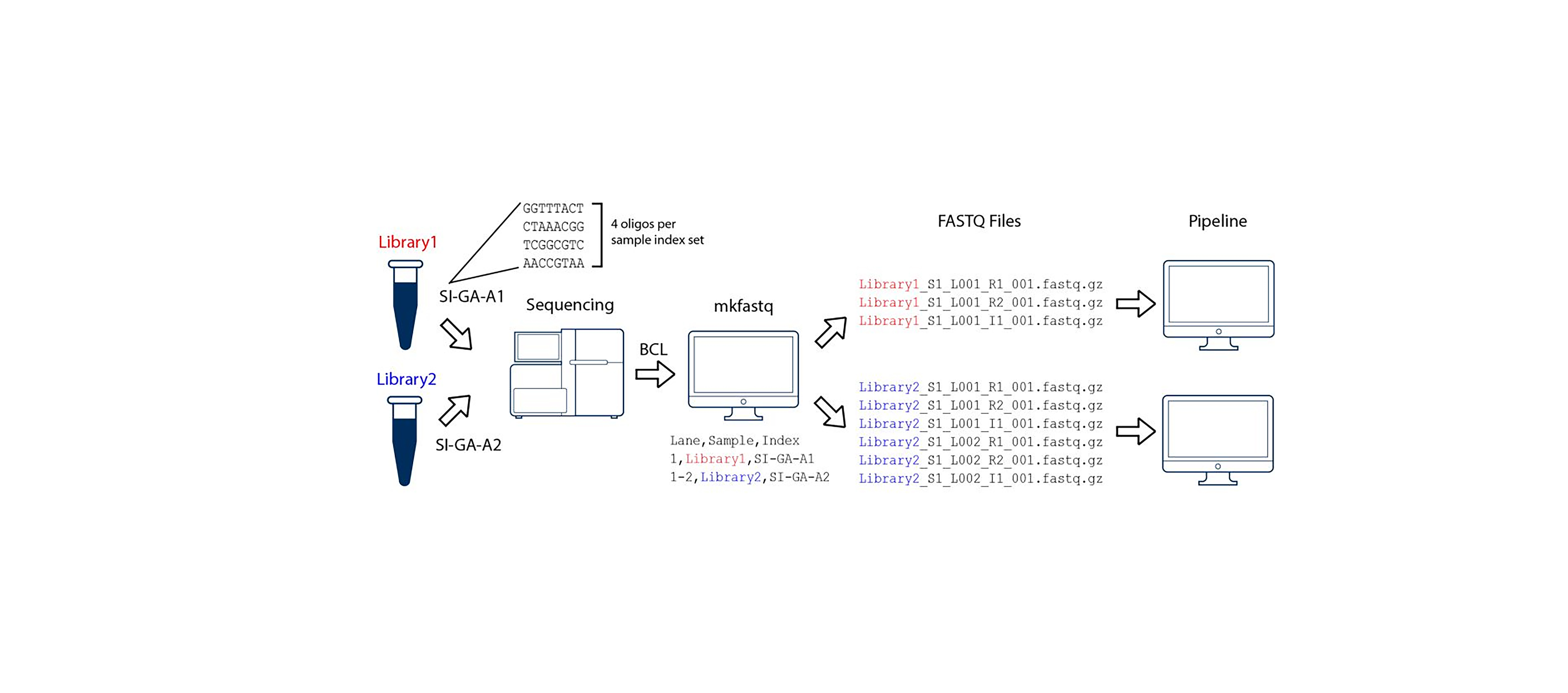 Cellranger Workflow
